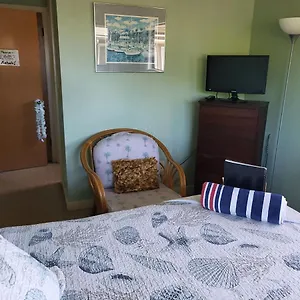 https://the-beach-hale-critter-refuge.hotelsinhawaii.org